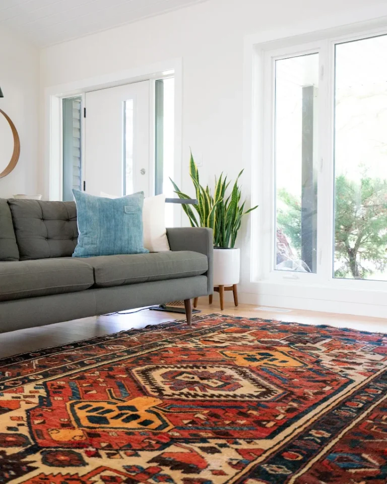 Carpet Cleaning Services in Panchkula