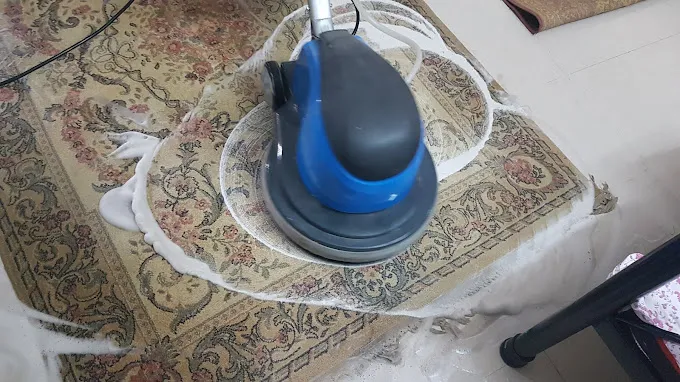 Carpet Cleaning Services in Sunny Enclave