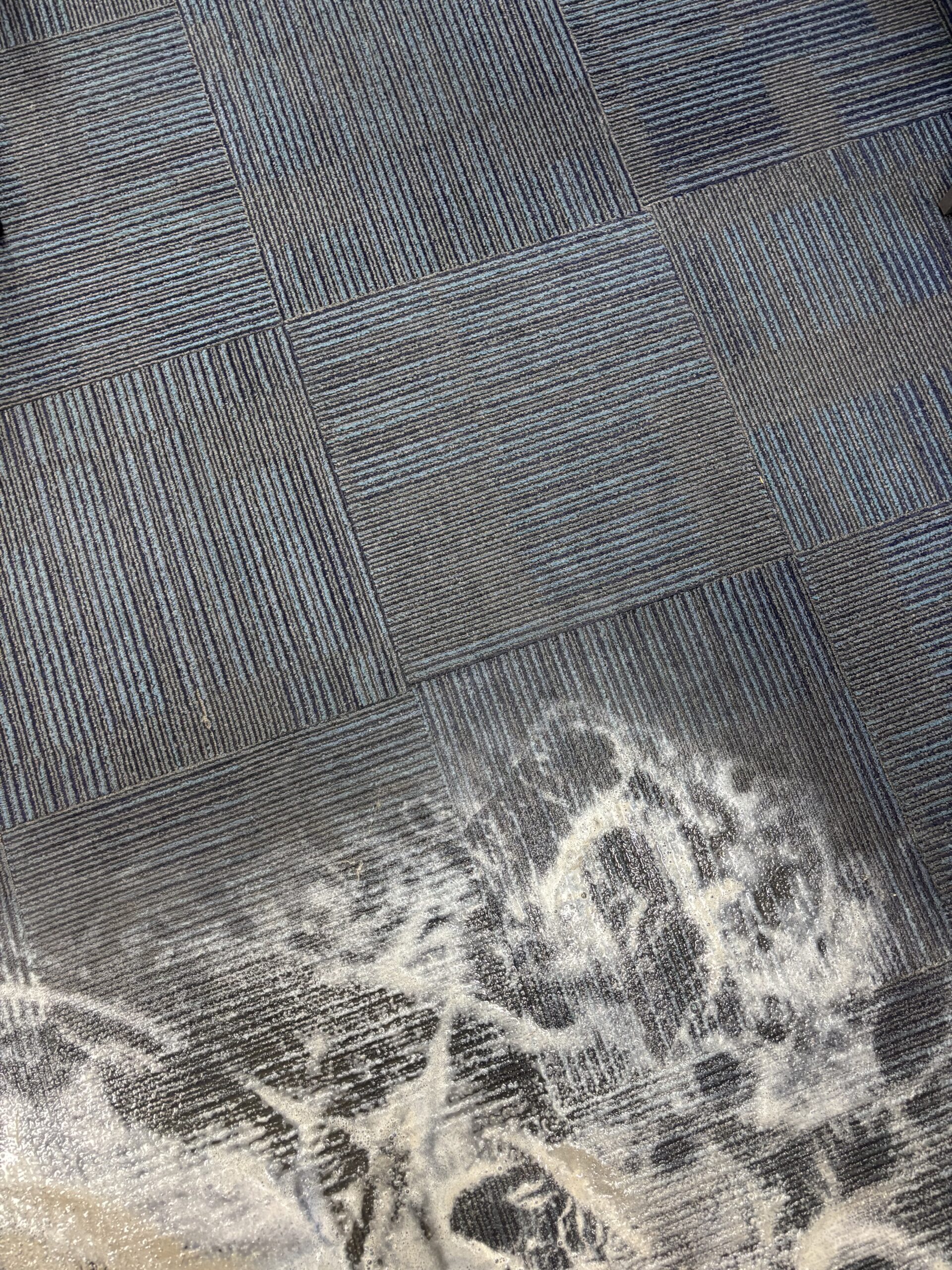 carpet cleaning in new chandigarh