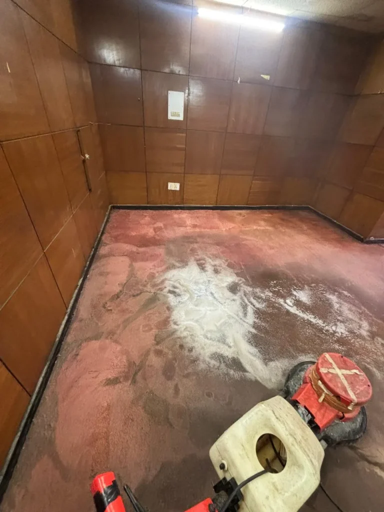 Office Carpet Cleaning in Chandigarh